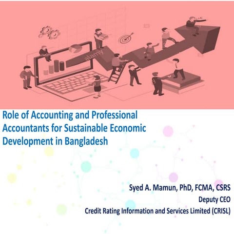 Role of Accounting and Professional Accountants for Sustainable ...
