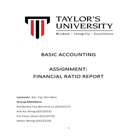 Accounts final group report