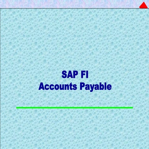 Accounts Payable SAPppppppppppppppppppppppppppppppppppp