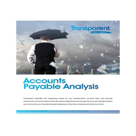 Accounts Payable Analysis