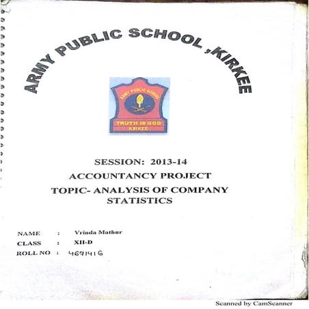 Class 12 Accountancy Board project | Analysis of Company Statistics | Comprehensive Problem | 