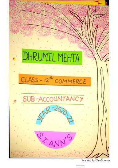 Accounts project on Ratio Analysis for class 12th