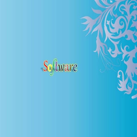 software 