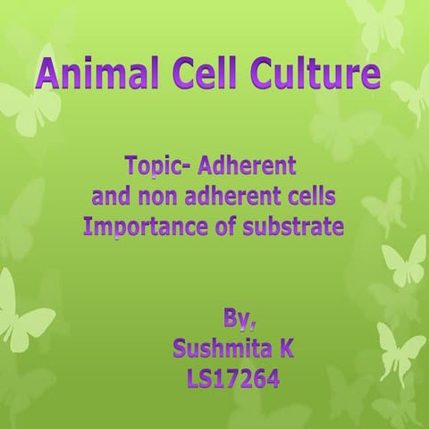 Adherent and non adherent cells- Importance of substrate in cell culture