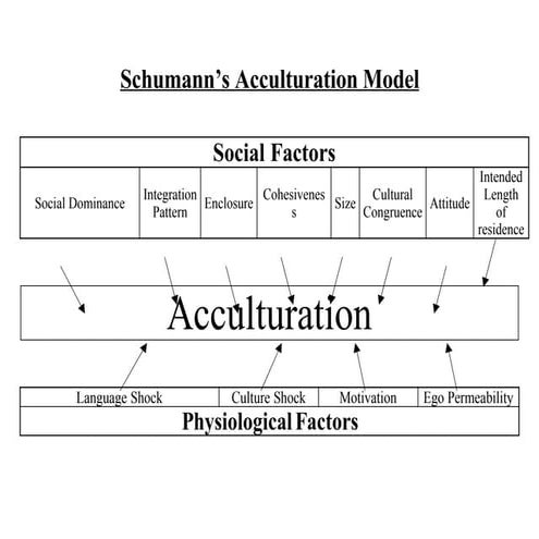 Acculturation Model