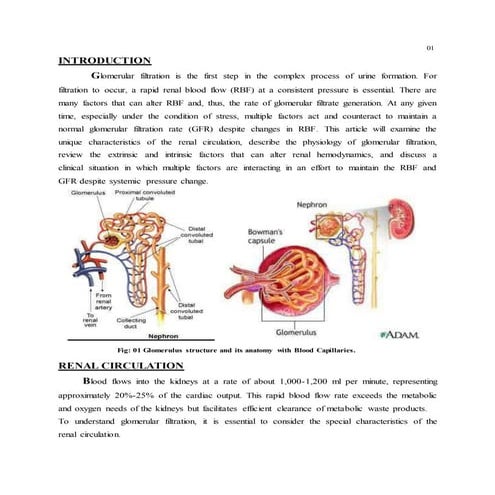 Accurate assessment of kidney function in the critically