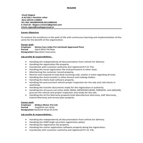 Ali Raza CV | PDF