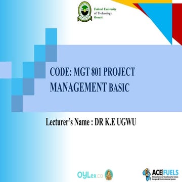 ACE-FUELS- 801- PROJECT MGT BASICS1.pptx