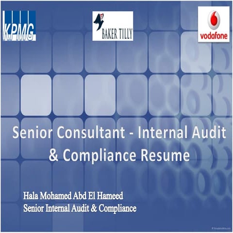 Senior Consultant - Internal Audit  & Compliance CV