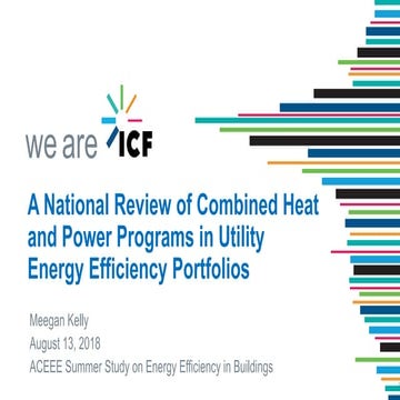 A National Review of Combined Heat and Power Programs in utility Energy Effic...