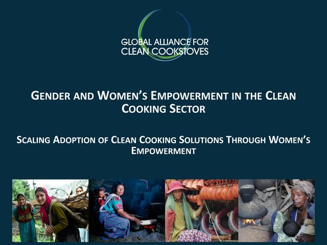 Gender and Women's Empowerment in the Clean Cooking Sector