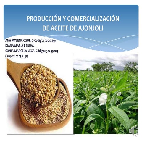 Producción y Comercialización de Aceite de Ajonjoli
