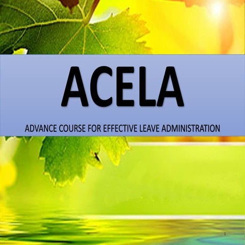 Leave- Omnibus Rules on Leave.pdf
