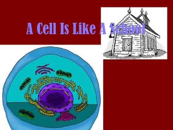 Cell Analogy Example | PPTX