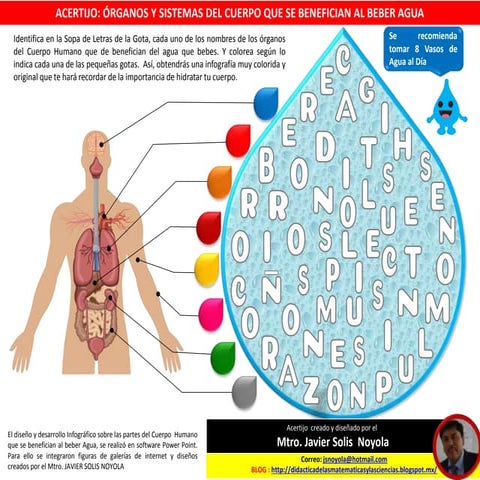 ACERTIJO: “COLOREANDO LA SOPA DE LETRAS DE LOS ÓRGANOS Y SISTEMAS DEL CUERPO ...
