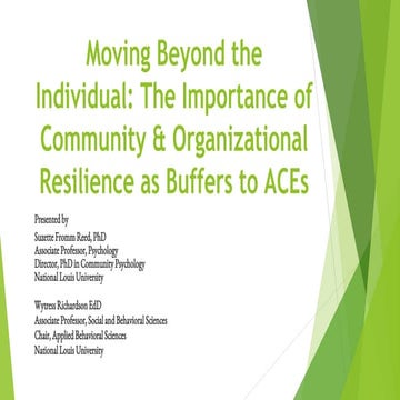 Moving Beyond the Individual: The Importance of Community and Organizational ...