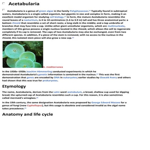 Acetabularia Information For Class 9  .docx