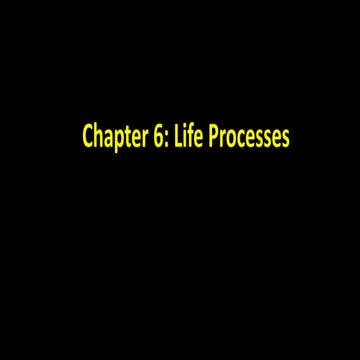 life process