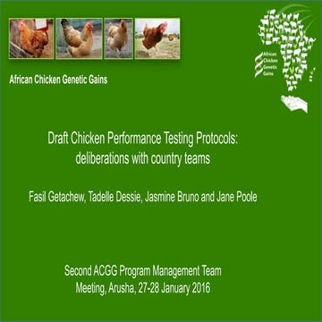 Draft chicken performance testing protocols: Deliberations with country teams 
