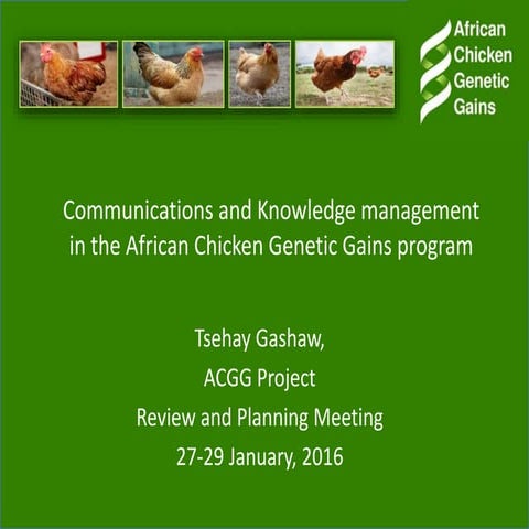 Communications and knowledge management in the African Chicken Genetic Gains ...