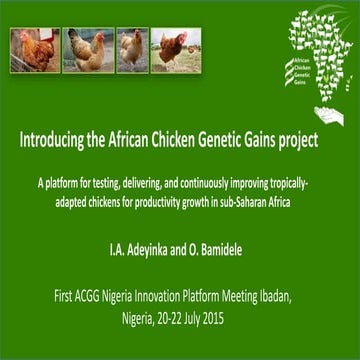 Introducing the African Chicken Genetic Gains project | PPTX