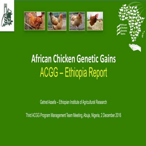 African Chicken Genetic Gains: ACGG-Ethiopia report