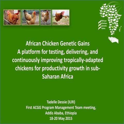 African Chicken Genetic Gains: A platform for testing, delivering, and contin...