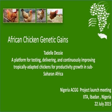 African Chicken Genetic Gains: A platform for testing, delivering, and contin...
