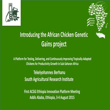 Introducing the African Chicken Genetic Gains project: A platform for testing...