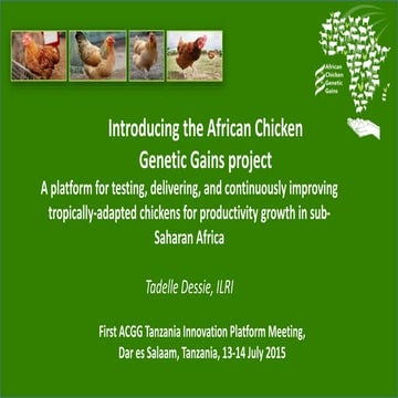 Introducing the African Chicken Genetic Gains project: A platform for testing...