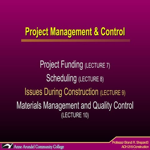 ACH 216 Lecture 09 (Issues During Project)
