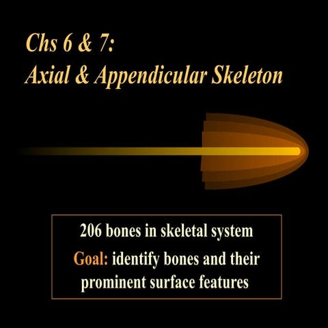 Description of Anatomy and physiology presentation