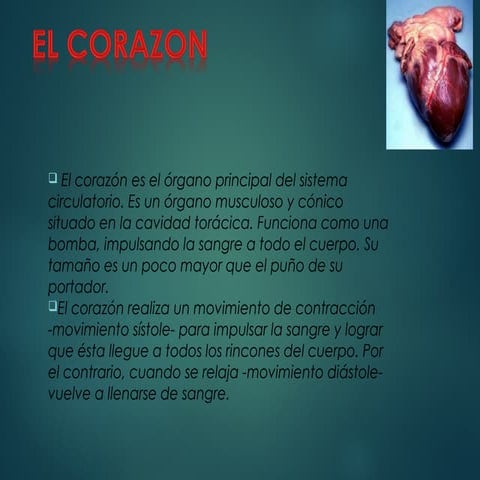 A charla del corazon (1)