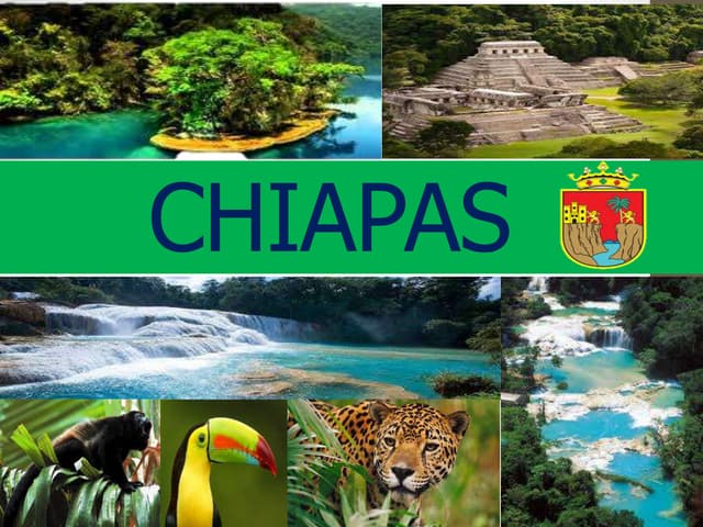 Ecosistemas de chiapas.