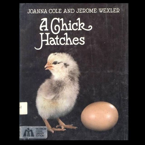 A chick hatches