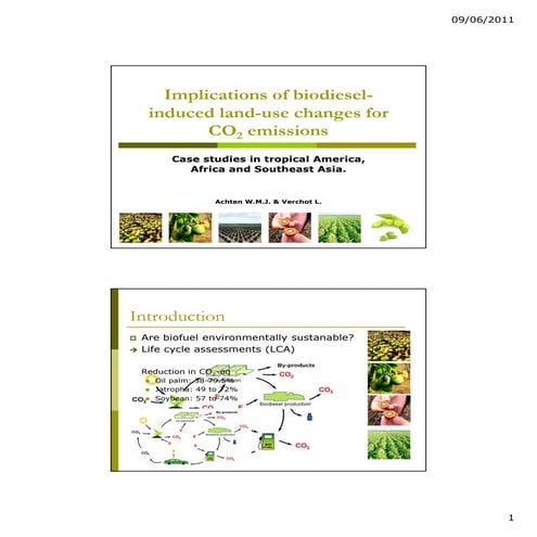 Achten   biofuel carbon debts