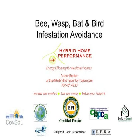 Bugs, Bats, Bees and Beasts by Arthur Beeken