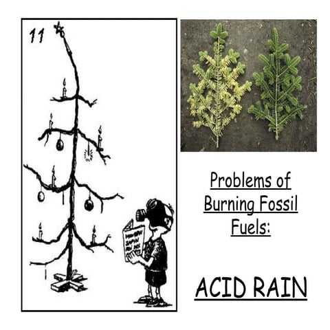 Acid Rain 1207059932534136 3