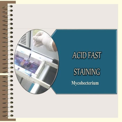 Acid fast bacillus - Myobecterium Tuberculaes