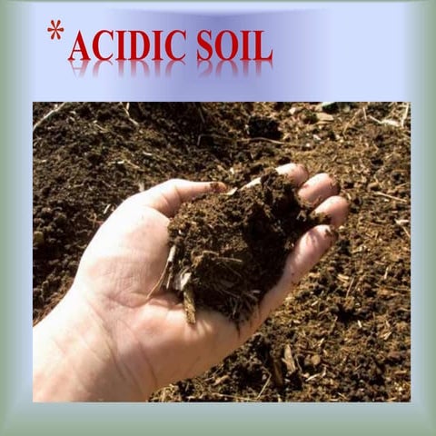 Acidic soil (IGKV RAIPUR C.G)