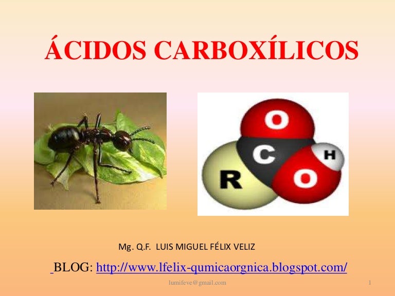 ÁCIDOS CARBOXÍLICOS ÁCIDOS CARBOXÍLICOS