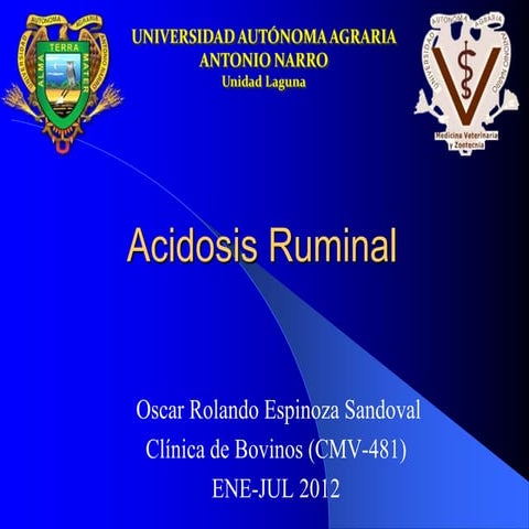 Acidosis ruminal123 | PDF