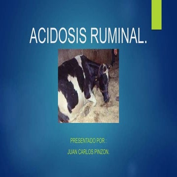 ANATOMIA Y FISIOLOGIA DEL SISTEMA REPRODUCTIVO EN EQUINOS (YULEIDYS).pdf