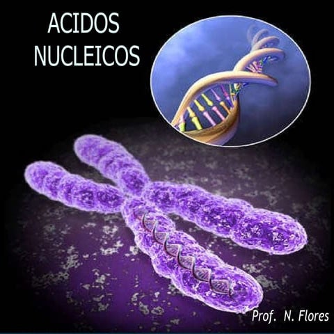 Acidos nucleicos