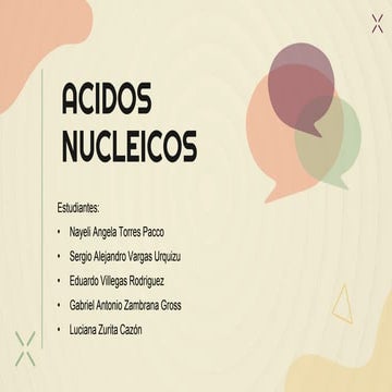 presentacion acidos nucleicos (bioquimica)