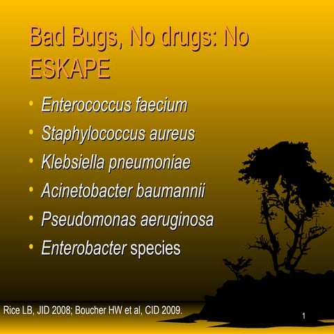 Acinetobacter: Awakening of a sleeping demon