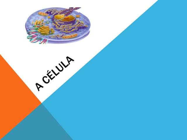 A célula