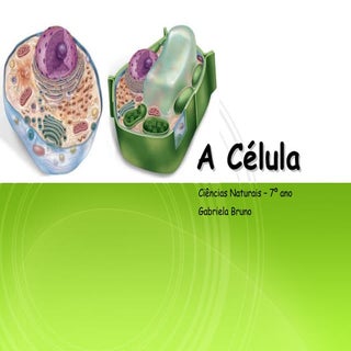 A Célula