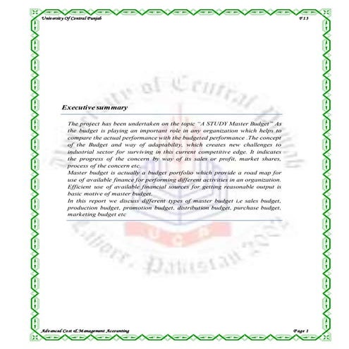 Project report on master budget