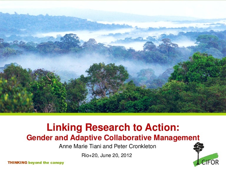 thumbnail of  Linking research to action: gender and adaptive collaborative management